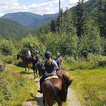 River Run Ranch - Telemark Drangedal Kültér fotó