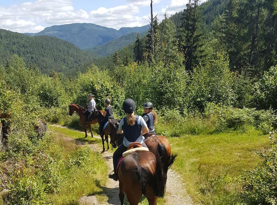 River Run Ranch - Telemark Drangedal Kültér fotó