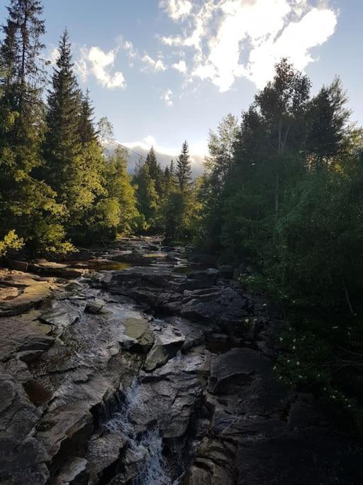 River Run Ranch - Telemark Drangedal Kültér fotó