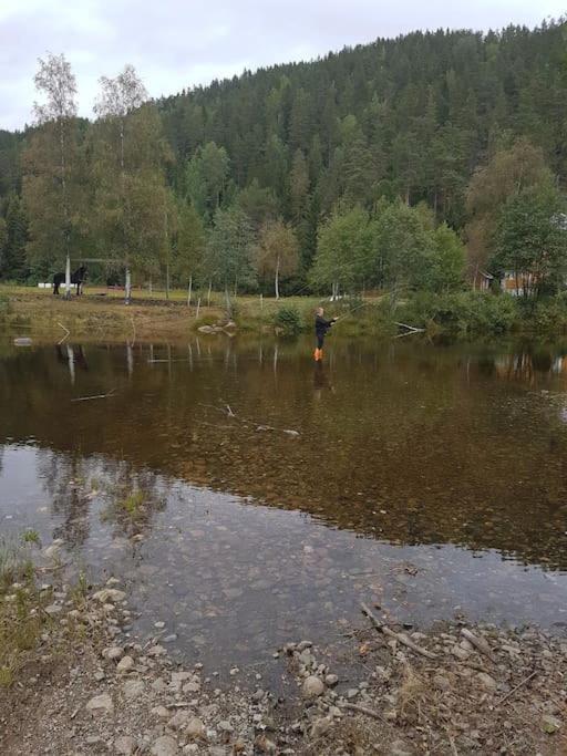 River Run Ranch - Telemark Drangedal Kültér fotó
