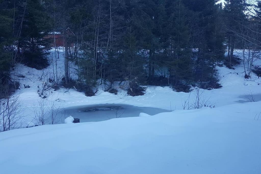 River Run Ranch - Telemark Drangedal Kültér fotó