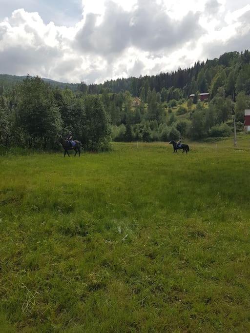 River Run Ranch - Telemark Drangedal Kültér fotó