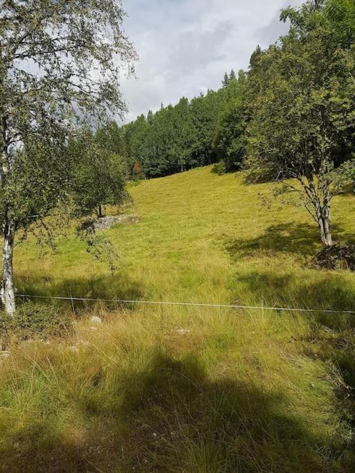 River Run Ranch - Telemark Drangedal Kültér fotó