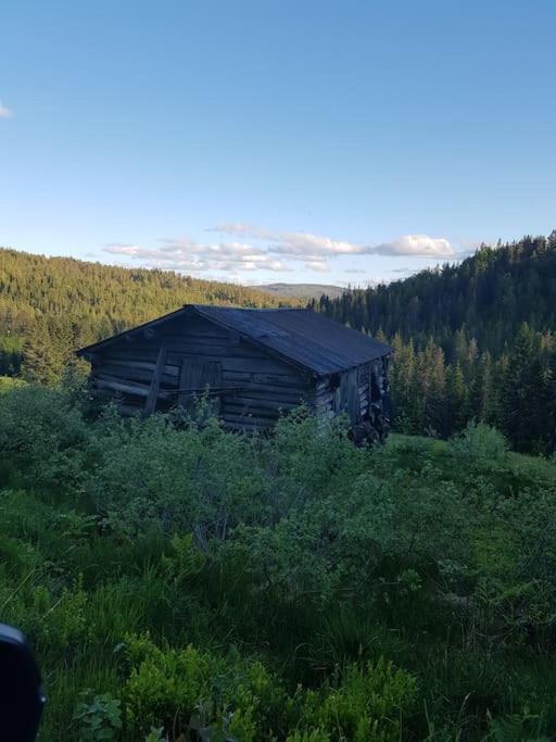 River Run Ranch - Telemark Drangedal Kültér fotó