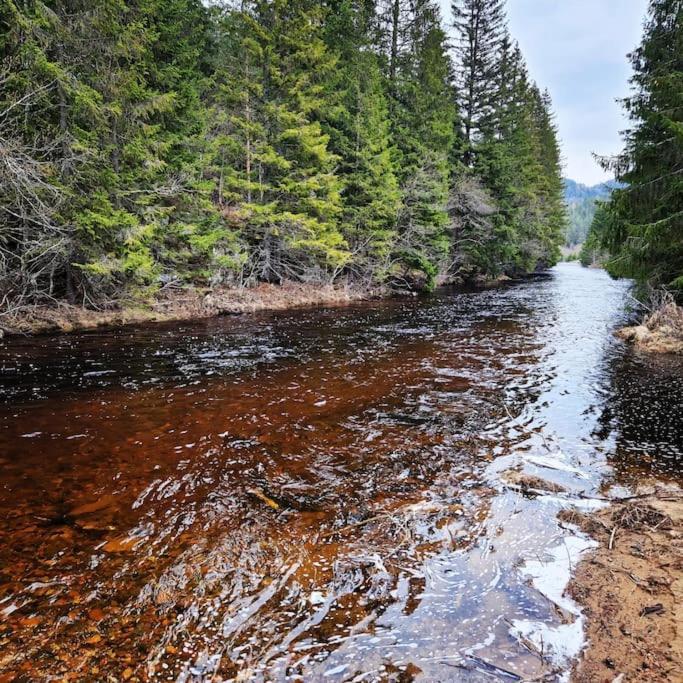 River Run Ranch - Telemark Drangedal Kültér fotó