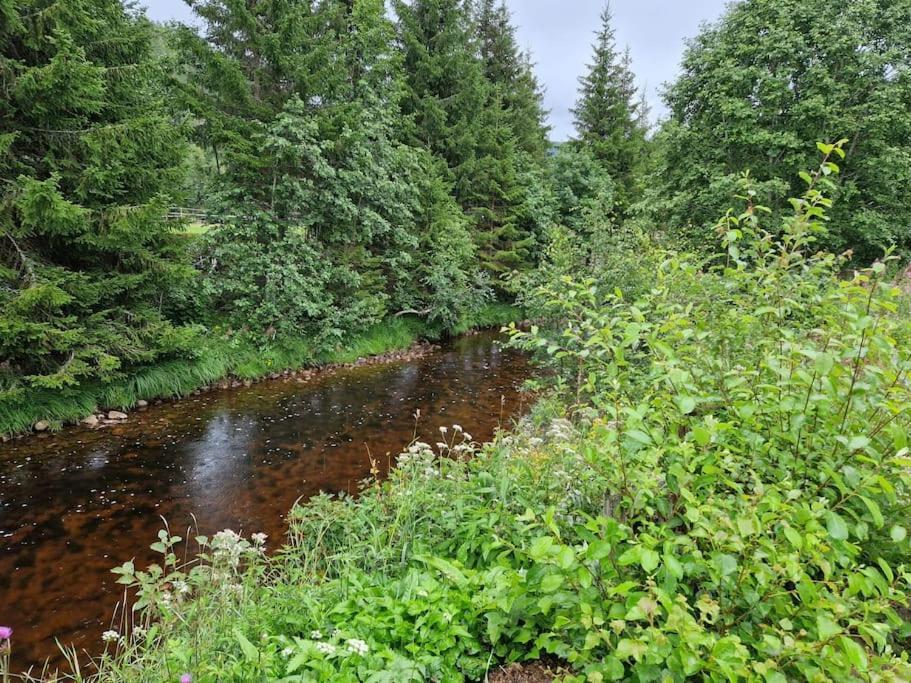 River Run Ranch - Telemark Drangedal Kültér fotó