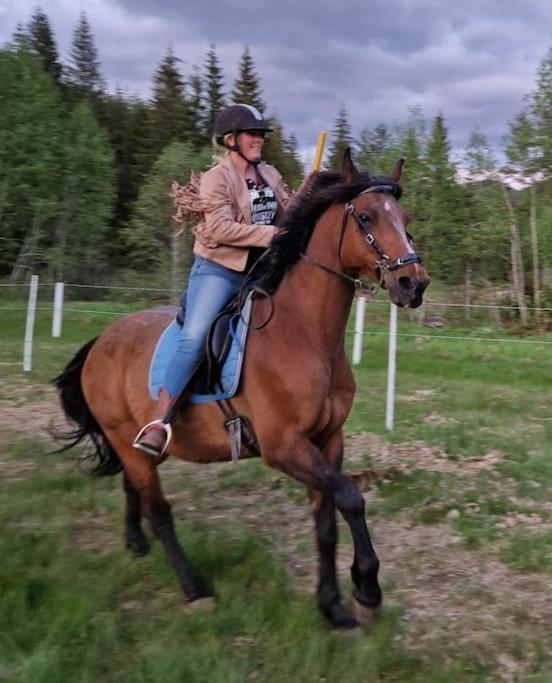 River Run Ranch - Telemark Drangedal Kültér fotó