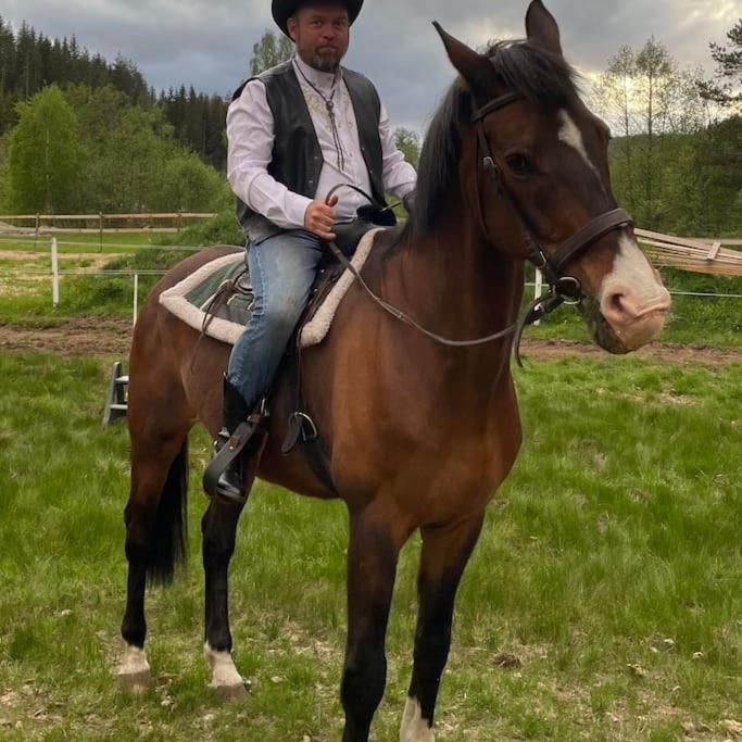 River Run Ranch - Telemark Drangedal Kültér fotó