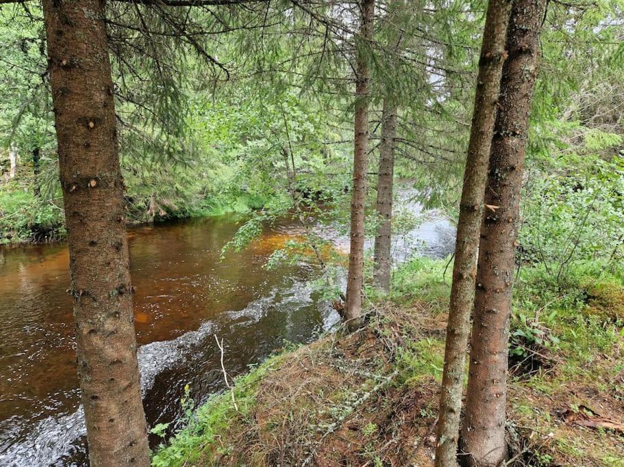 River Run Ranch - Telemark Drangedal Kültér fotó