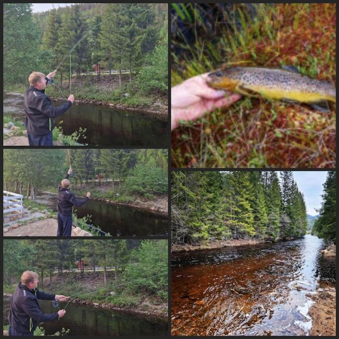 River Run Ranch - Telemark Drangedal Kültér fotó